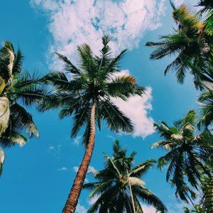 Meet your Posher, Melena